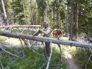 Keeping trails open