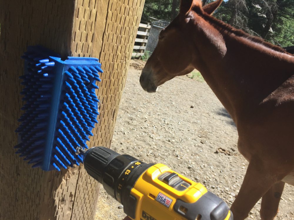 Scratch n All Pads TrailMeister