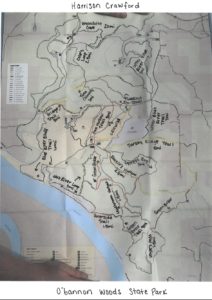 img-7