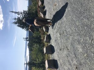 img-5