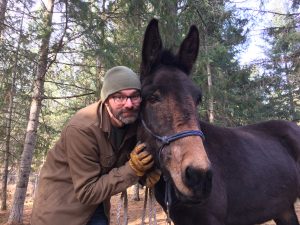 Finding the Right Trail Horse