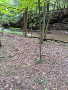 img-11