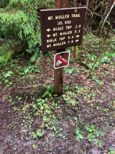 img-11