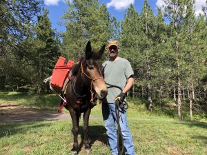 Trail Riding Assessment and Informational Learning System