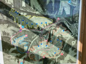 img-6