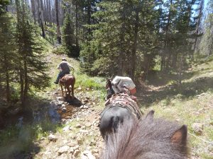 How to Teach a Horse to Cross Water