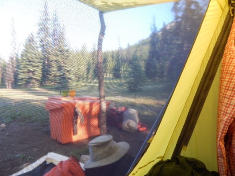 Bear Canisters Everything You Need to Know TrailMeister