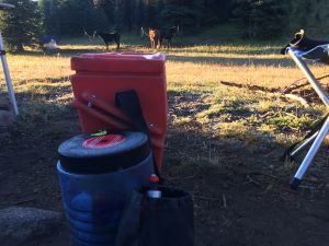 bear canisters