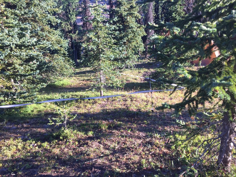 Backcountry Electric Fence TrailMeister