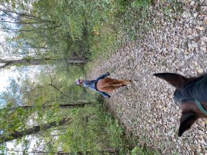 img-11