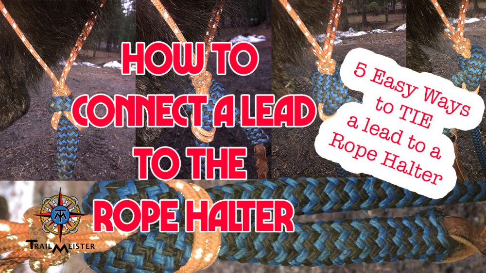 Rope Halter Tie Clip-The Easiest Way To Tie