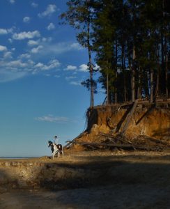 img-7