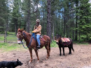 preparing for ponying