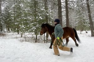 leading a horse