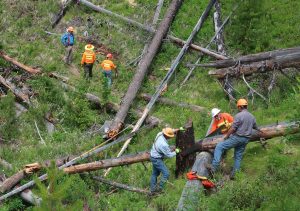 rebuilding trails