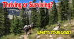 you are thriving or surviving?
