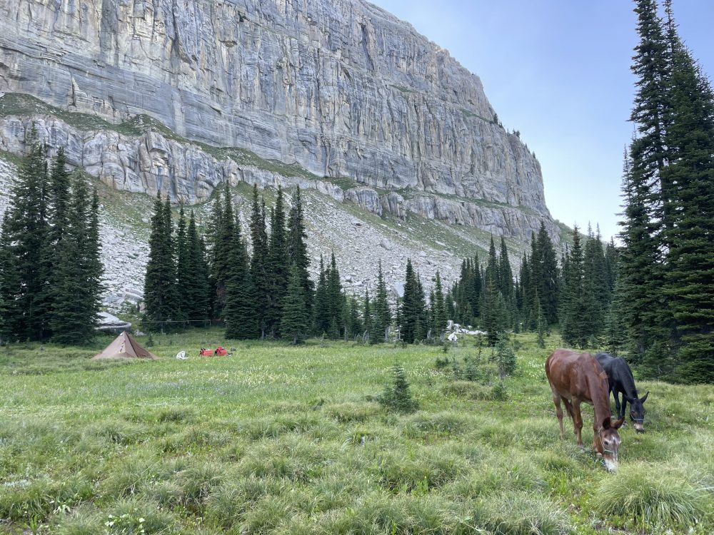 horse camping