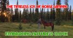horse camping