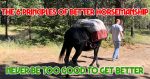 6 principles of better horsemanship