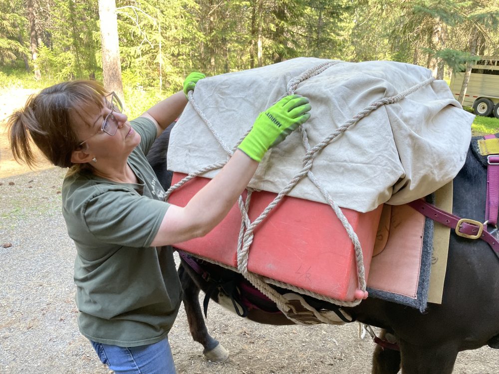 6 Principles to Better Horsemanship