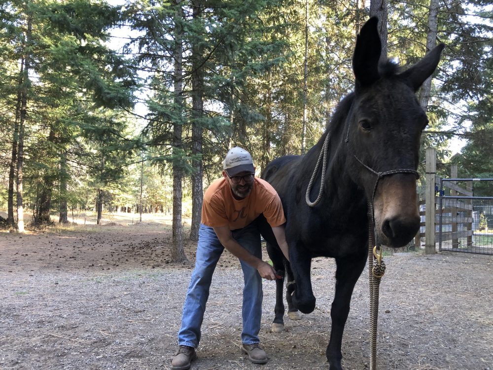 farrier training