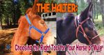 halter cover img