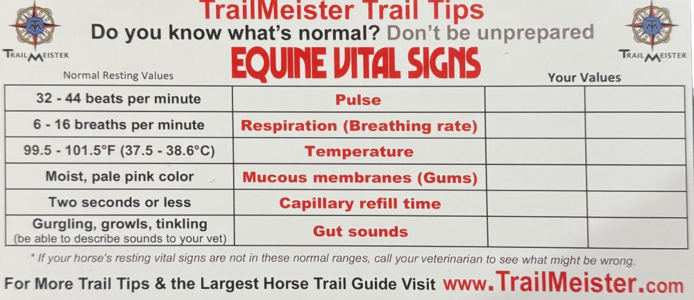 equine vital signs