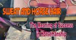 Sweat and Horsehair: The Meaning of Success in Horsemanship