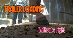 trailer loading